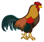 cock - colured